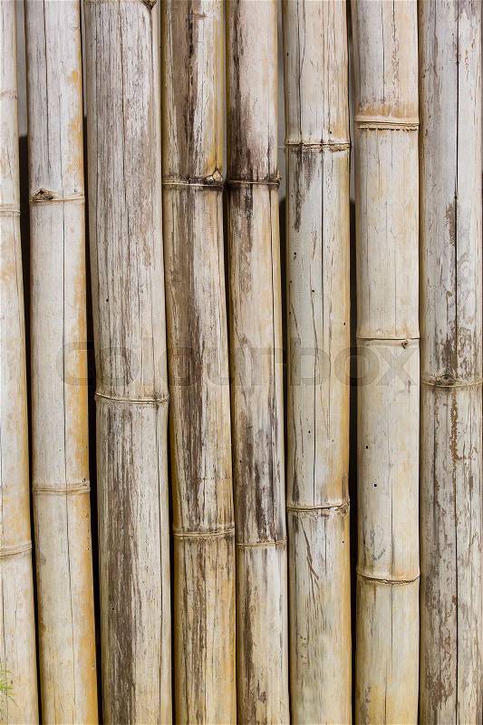 Bamboo background of bamboo sticks arranged in a row, stock photo
