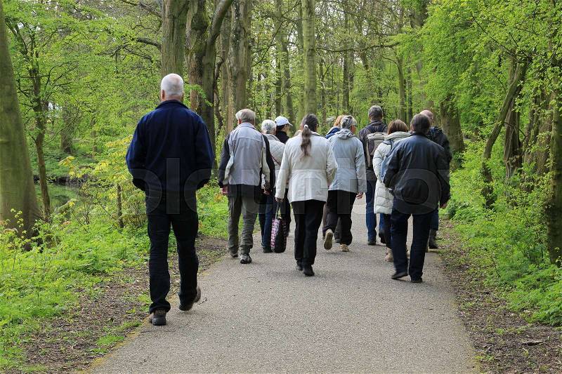The group walk with the guide through the wonderful park in spring, stock photo