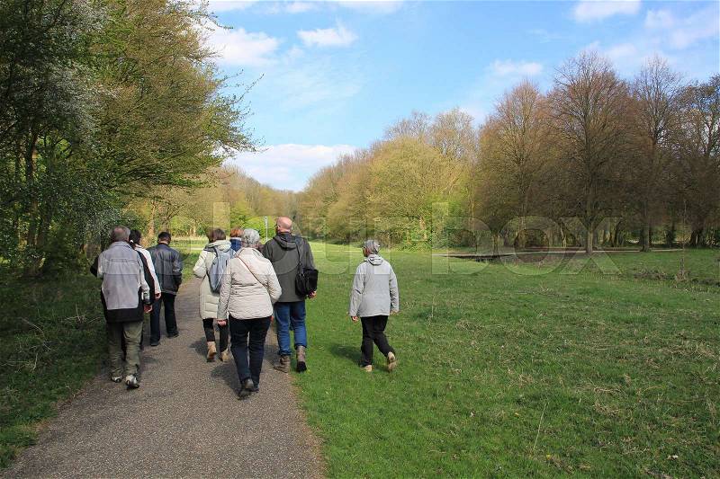 The group with the guide walk in the shadow in the park in spring, stock photo