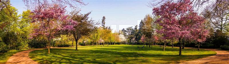 Beautiful park garden in spring. Spring panorama in park, stock photo