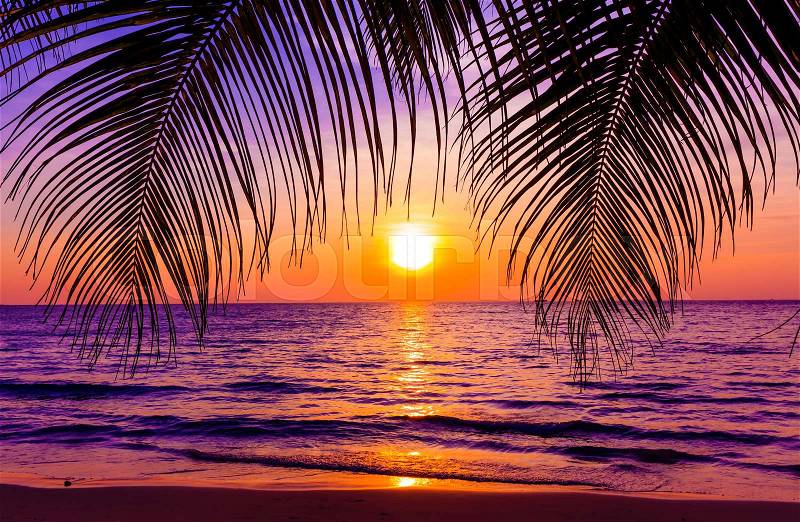 Beautiful sunset. Sunset over the ocean with tropical palm trees. Paradise beach, stock photo