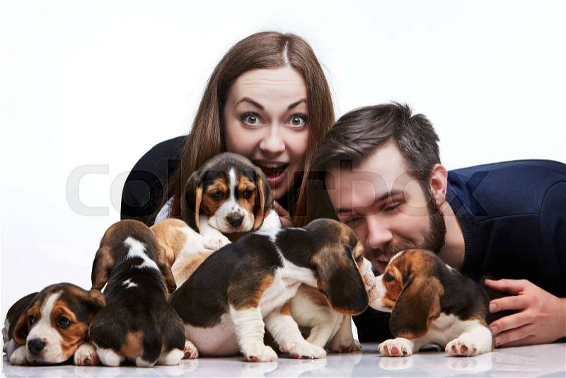 The happy man, woman and big group of a beagle puppies on white background, stock photo