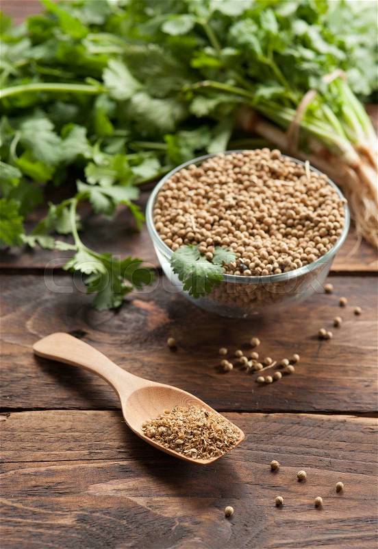 Coriander Leaves And Seeds in jars and on wood, stock photo