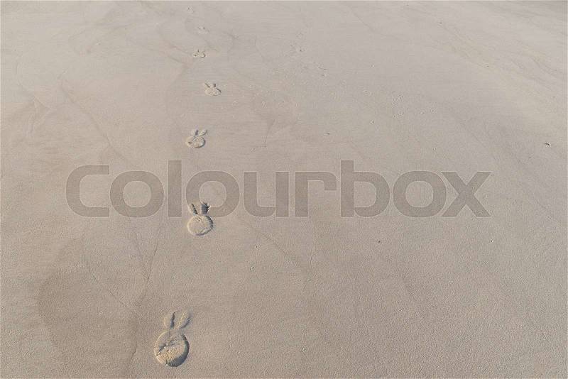 Footsteps in sand made from a person with shoes, stock photo