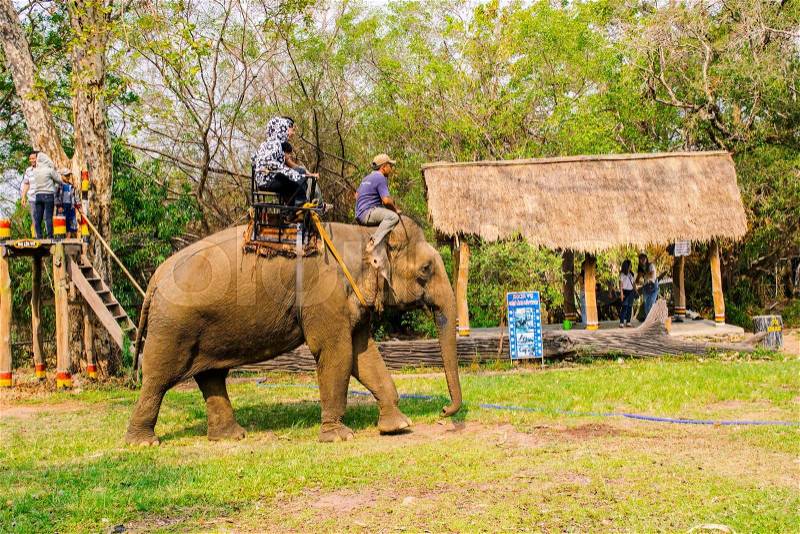 Man rides elephant on path at countryside, mahout ride this animal for travel, Viet Nam, stock photo