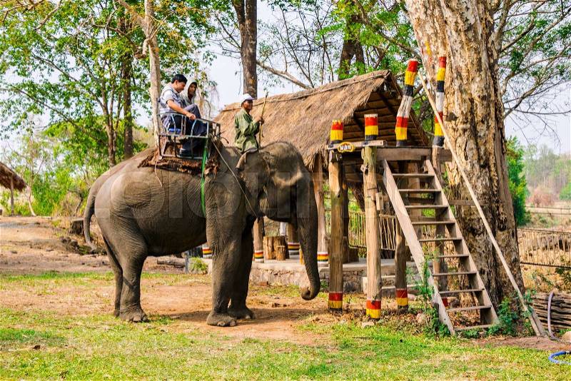Man rides elephant on path at countryside, mahout ride this animal for travel, Viet Nam, stock photo