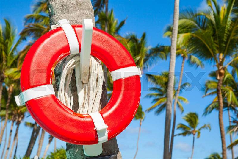 Red life buoy hanging on palm tree, Atlantic ocean coast, Dominican republic, stock photo