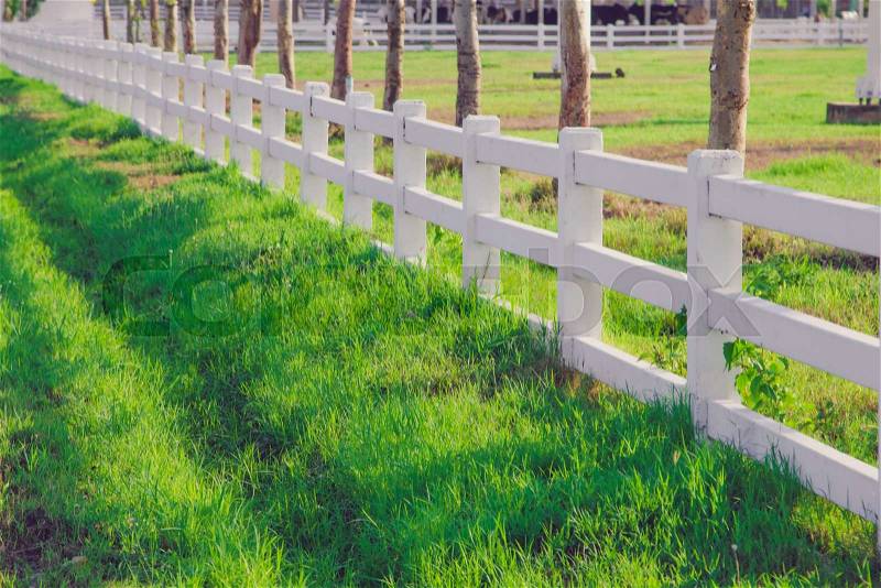 White picket fence in the lawn, stock photo
