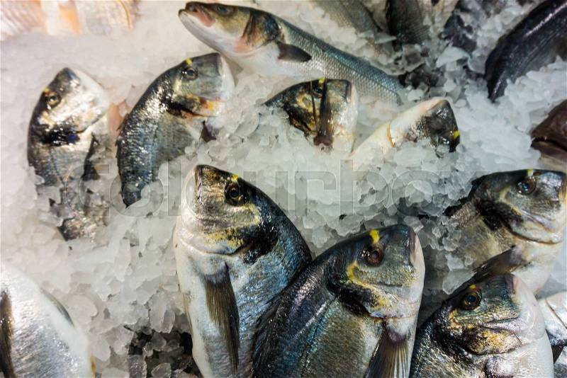 Dorado fish on ice in fish market. Fresh fish at the market, stock photo