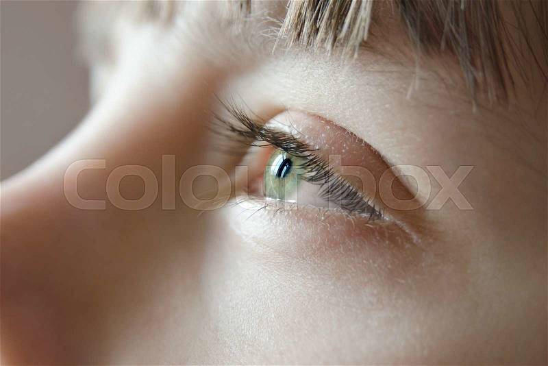 Sunlight reflected in the eyes of the young green, stock photo