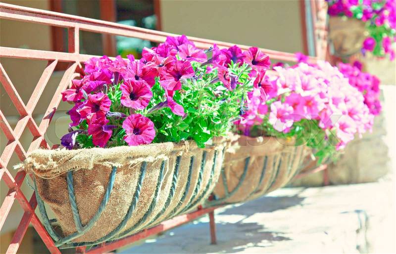 Image of a balcony flower box, stock photo