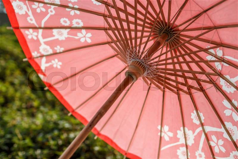 Paper umbrella, stock photo