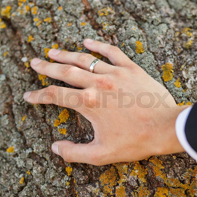 Groom hand leaned on trunk of tree, close-up, stock photo