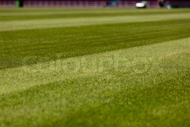 Perfect green soccer pitch ready for the upcoming soccer season, stock photo