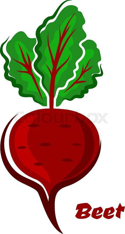 free clipart beets - photo #34