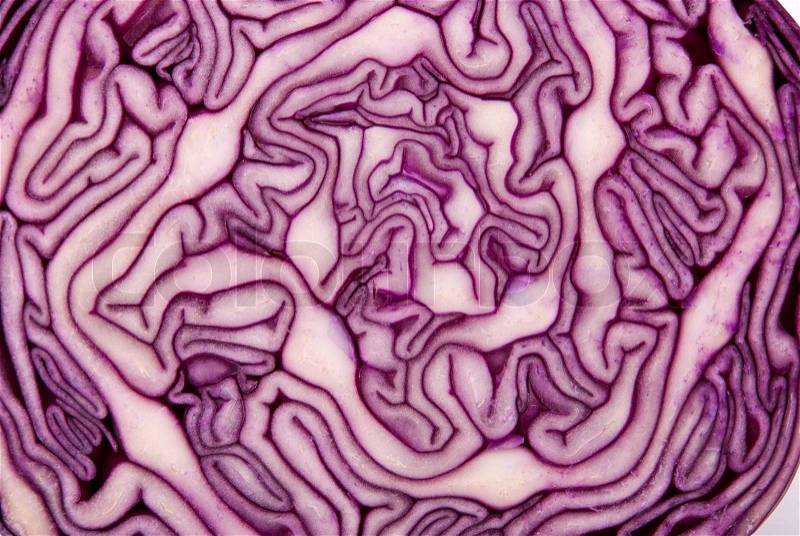 Close-up of a cut red cabbage, stock photo