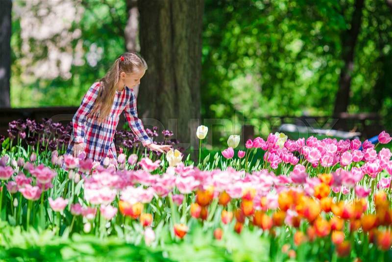 Little beautiful girl in lush tulips garden at warm spring day, stock photo