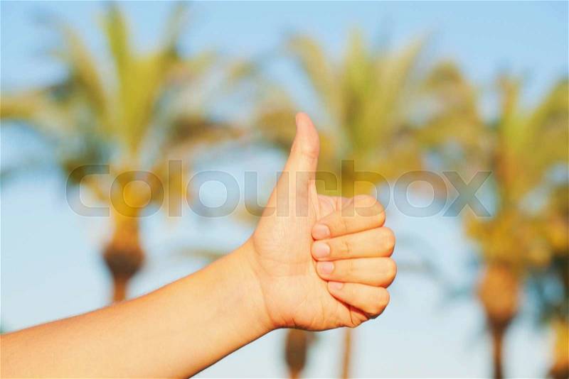 Hand showing thumbs up symbol against palm and blue sky background. Summer holidays concept, stock photo