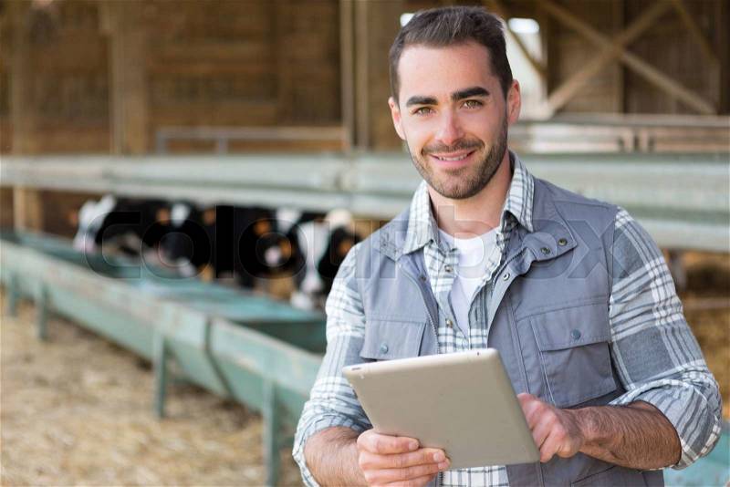 View of a Young attractive farmer in a barn with calf on the background, stock photo