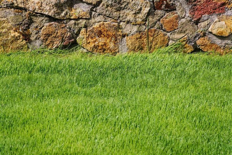 Green Lawn With a Stone Enclosure, stock photo