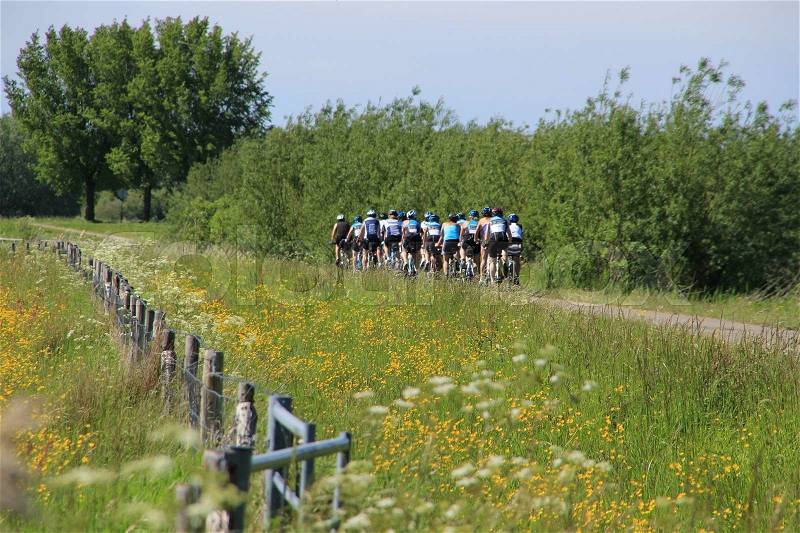 The group of cyclers cycling over the bike path in the park in spring, stock photo