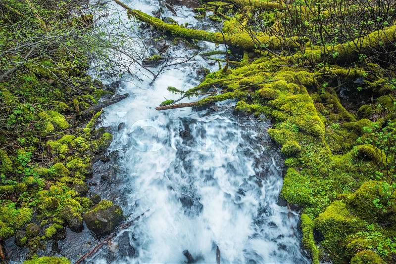 Small Oregon Mountain River in Columbia Gorge Region. Mossy Oregon Creek. United States, stock photo