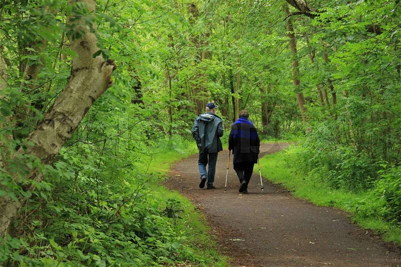 Man with raincoat and his wife nordic walking in the wet woods in the park in spring, stock photo