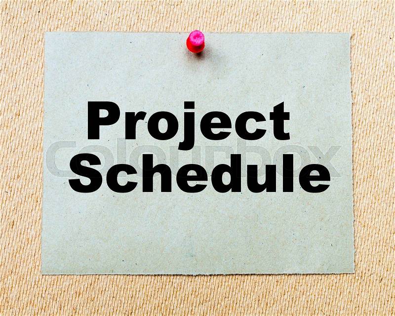 Project Schedule written on paper note pinned with red thumbtack on wooden board. Business conceptual Image, stock photo