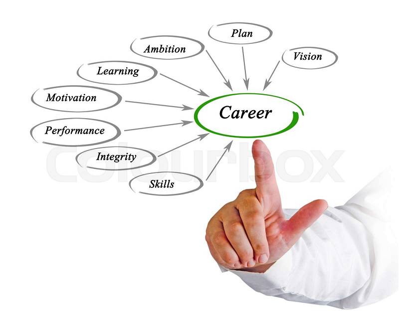Diagram of Career development, stock photo