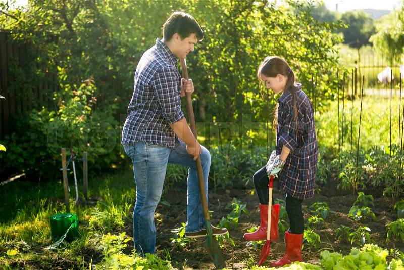 Father and daughter spudding garden bed with shovels at sunny day, stock photo