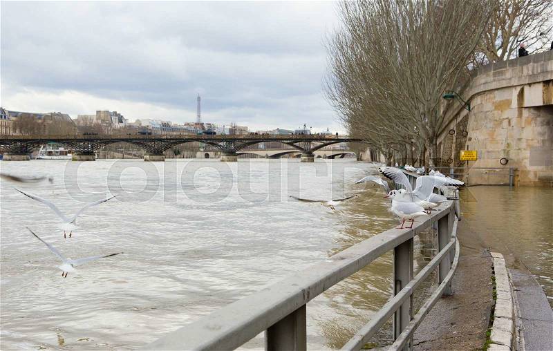 Seine river innundation in Paris, stock photo
