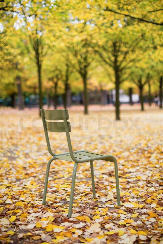 Typical Parisian park chair in the Luxembourg Garden. Paris, stock photo