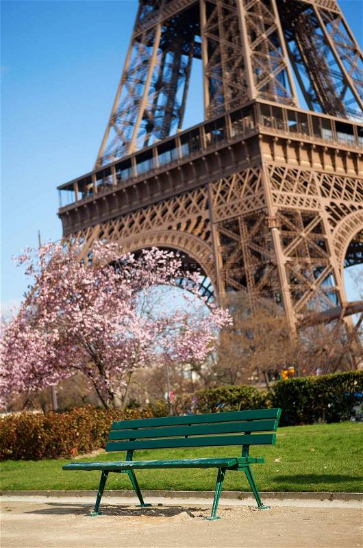Spring in Paris. Bench near the Eiffel tower with blossoming cherry tree, stock photo