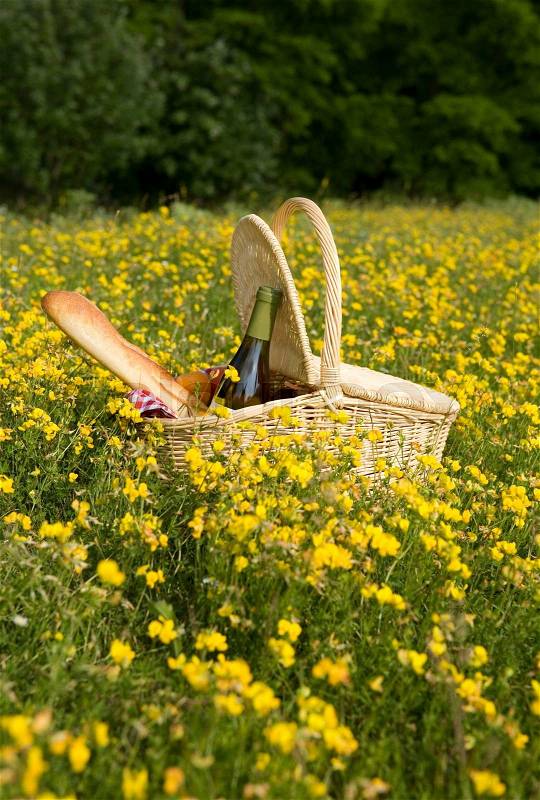 Picnic basket with wine, bread and fruits outdoors in yellow flowers, stock photo
