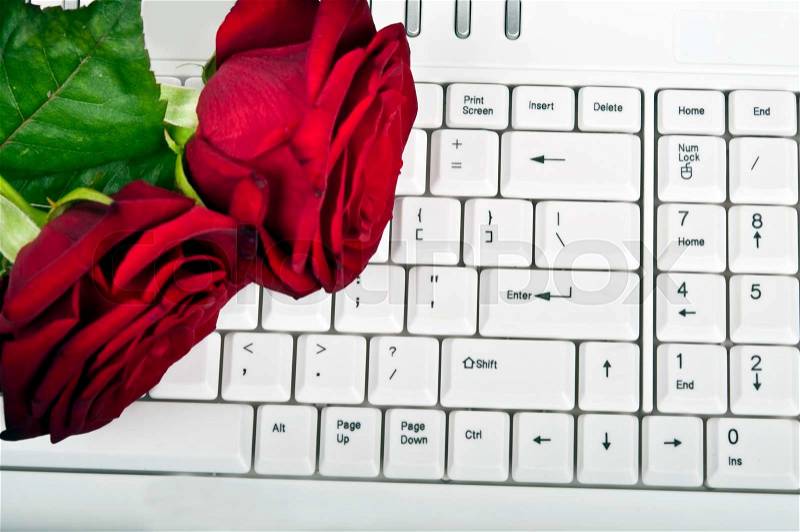 Red rose and white keyboard, stock photo
