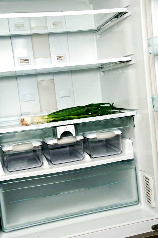 Refrigerator close up with green onion, stock photo