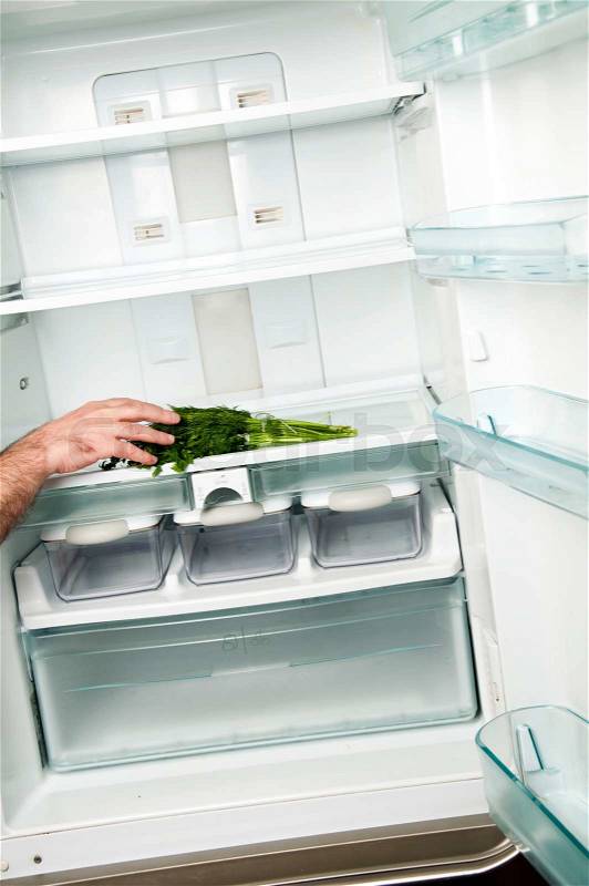 Refrigerator close up with dill, stock photo