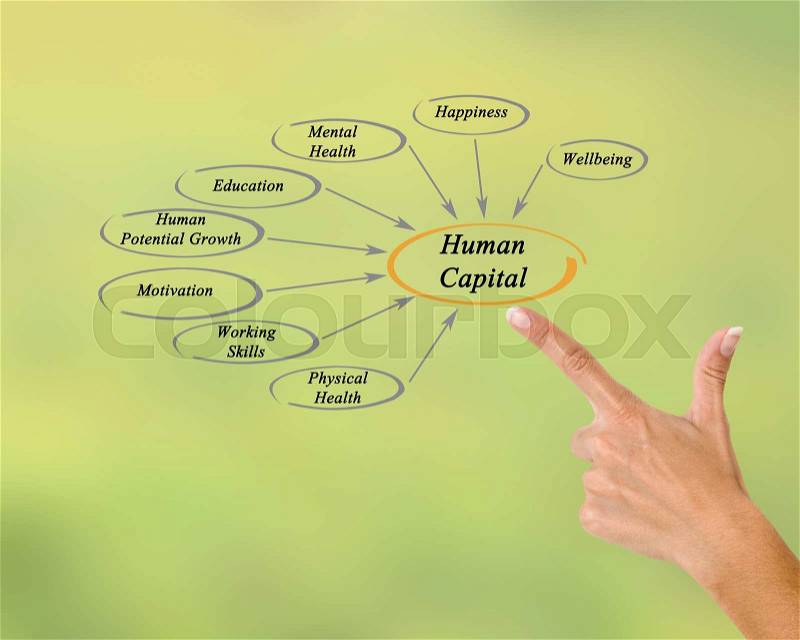 Diagram of Human Capital, stock photo