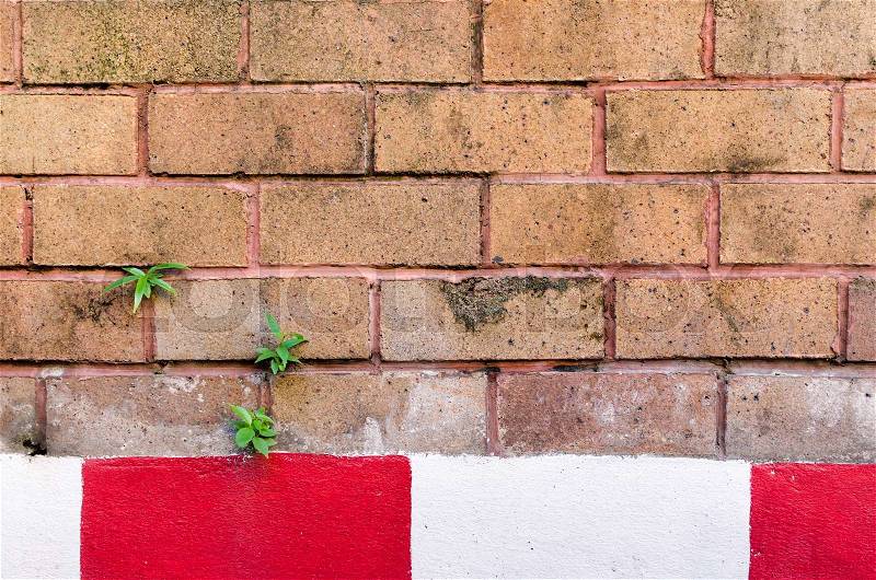 Red and white line under brick wall texture background , stock photo