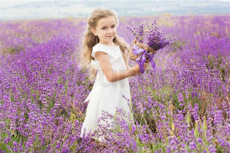 Happy cute little girl is wearing white dress in a lavender field holding a basket full of purple flowers, stock photo