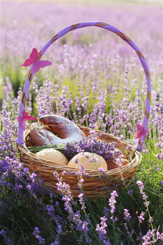 Beautiful basket with purple ribbon and butterfly and sweet-stuff in meadow of lavender flowers, stock photo