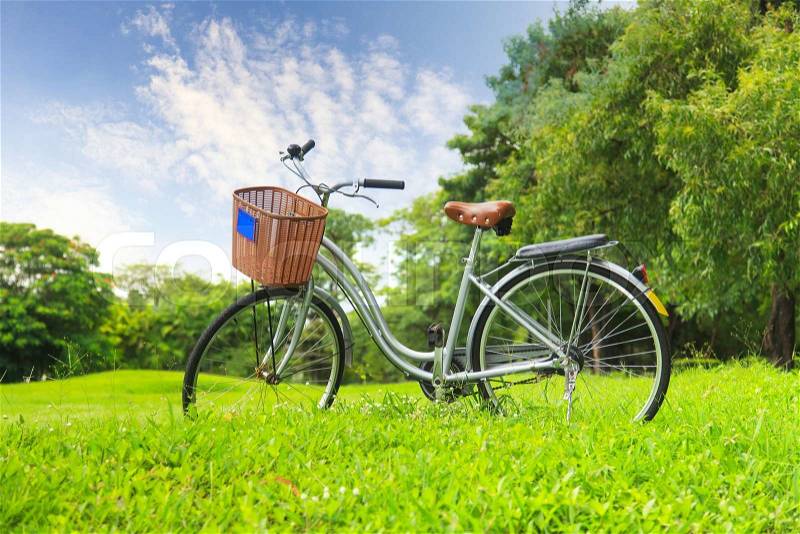 Bicycles in the park, stock photo
