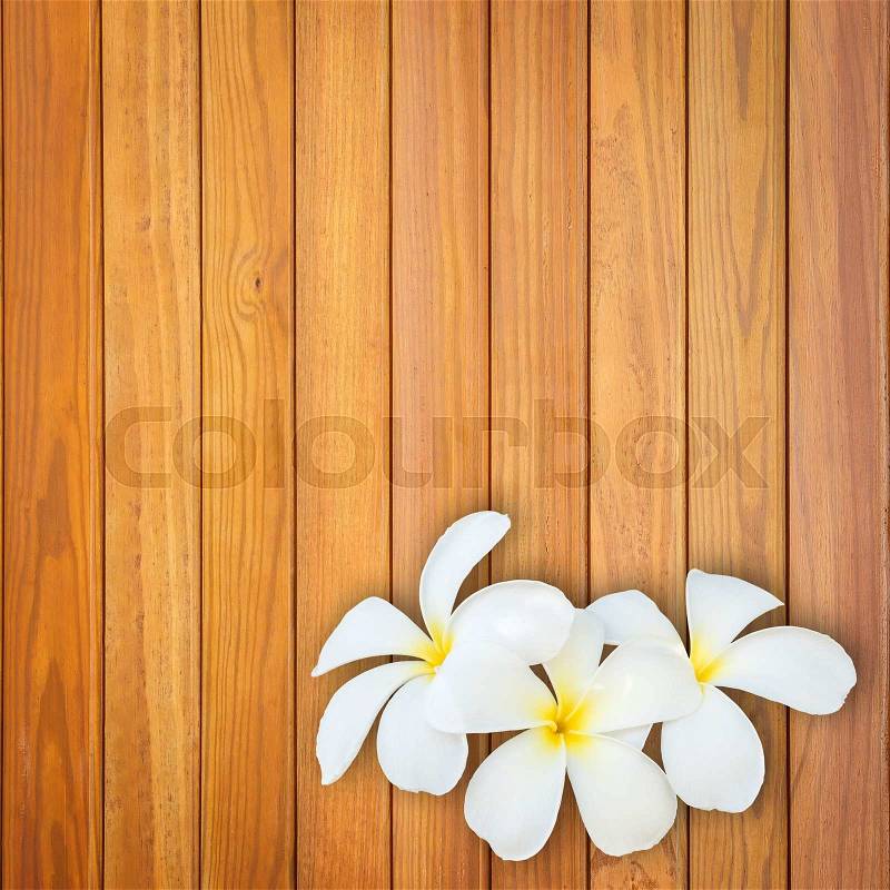 Close up white and yellow frangipani flower on wood background, stock photo