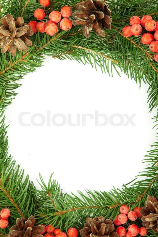 Christmas green framework with cones and holly berry isolated on white background, stock photo