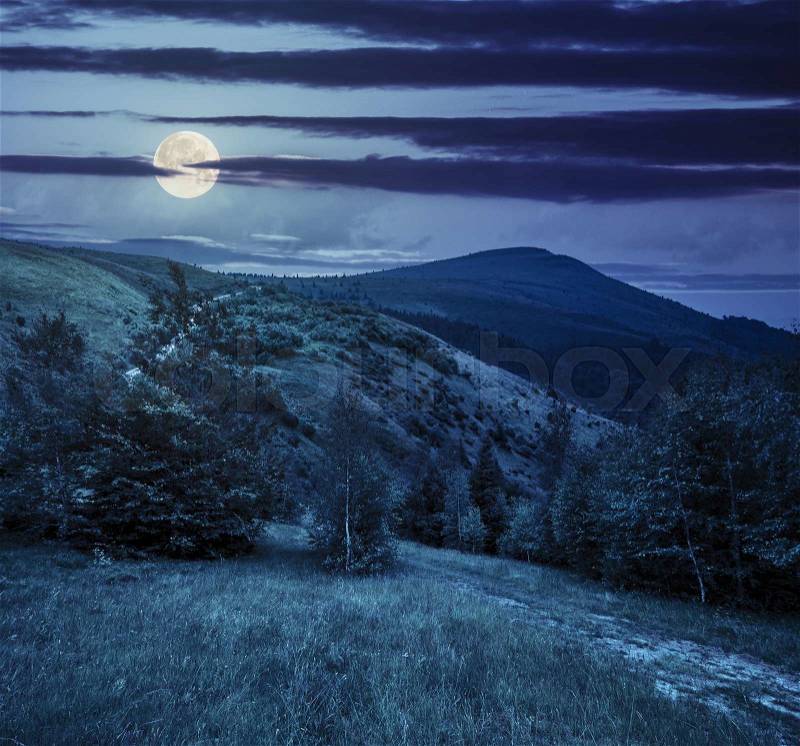 Composite image of path through the green forest to peak on slope of mountain range at night in full moon light, stock photo