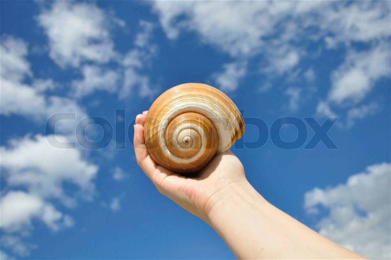 Cockleshell in a hand against the sky, stock photo