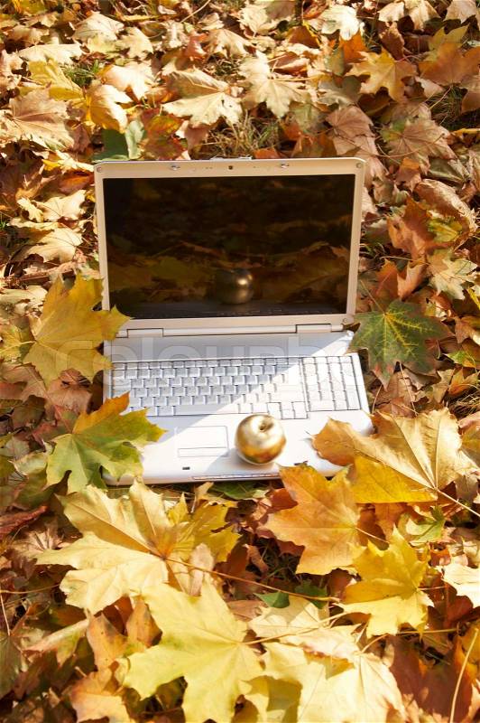 Computer outdoors in autumn leaves, stock photo