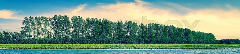 Panorama beach landscape with trees on a row in the summer, stock photo