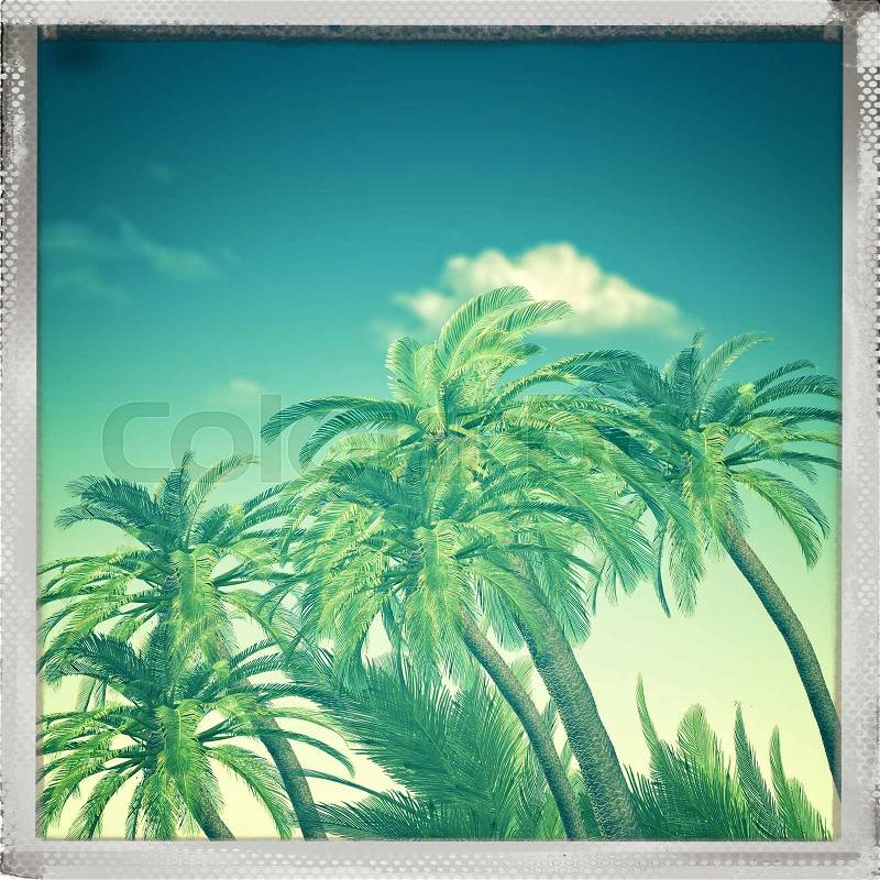 Retro view. Summer trip backgrounds with palm tree, stock photo