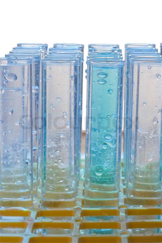 Test tubes in a test tube rack, stock photo